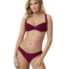 Burgundy Bathing Suit Bottoms | PQ Swim